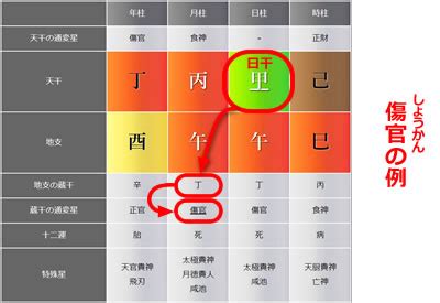 傷官格|傷官（しょうかん）の知識全般 